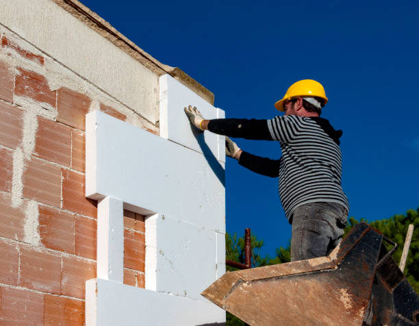 Best Insulation Maintenance and Repair in Oriole Beach, FL