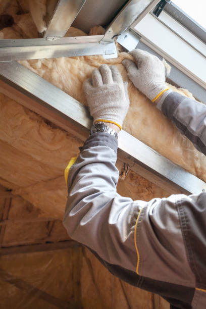 Best Insulation Installation Services in Oriole Beach, FL