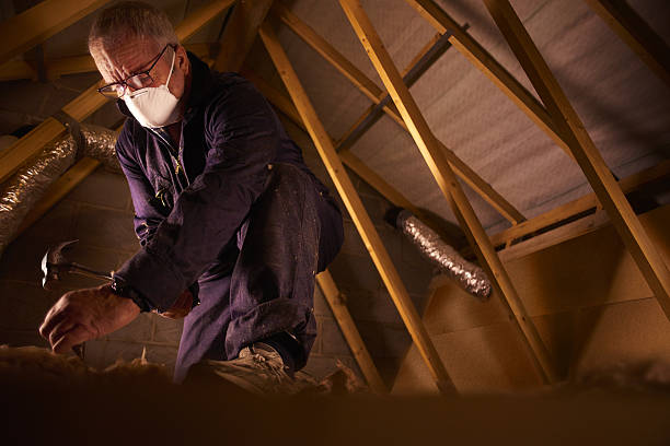 Best Residential Insulation in Oriole Beach, FL